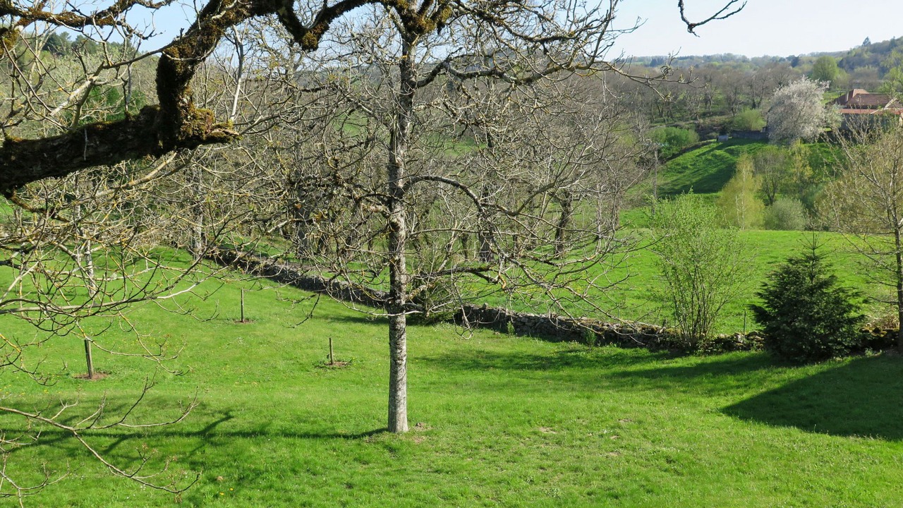 Photo of Others in Teyssieu