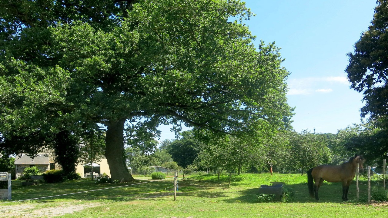 Photo of Others in Le Tronchet