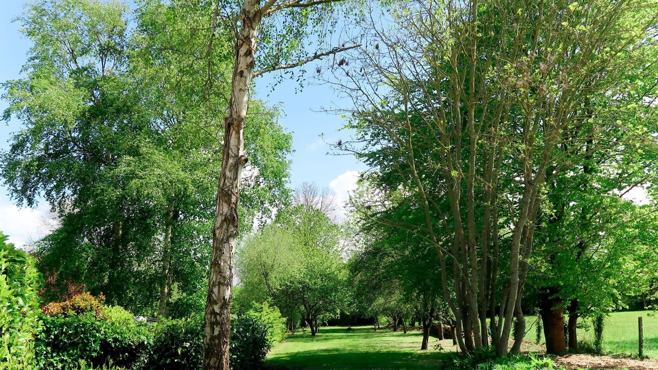 Photo of Others in Plouha