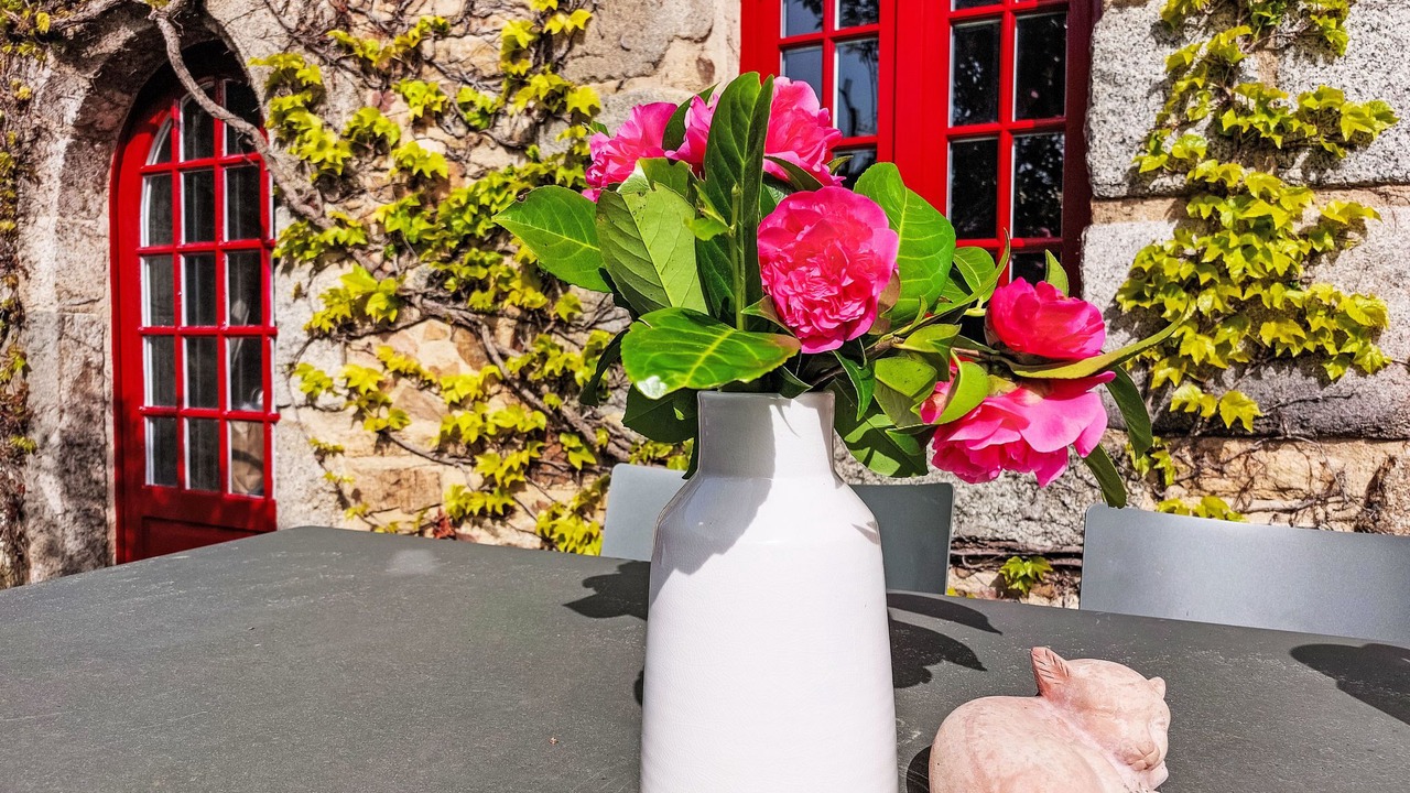 Photo of Others in Plouha