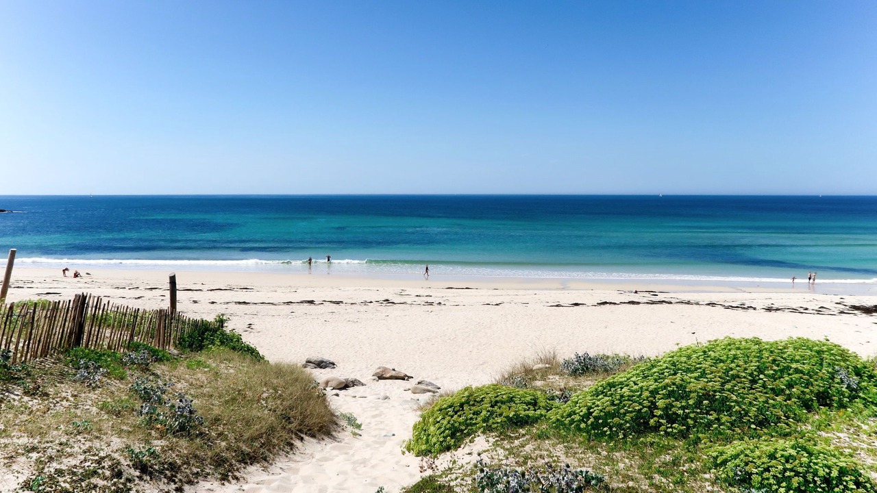 Photo of Others in Primelin