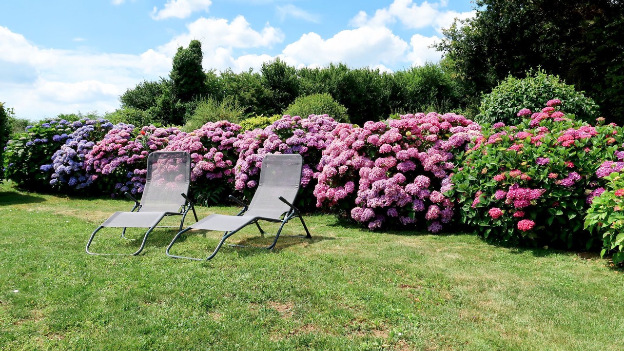 Photo of Others in Peumerit