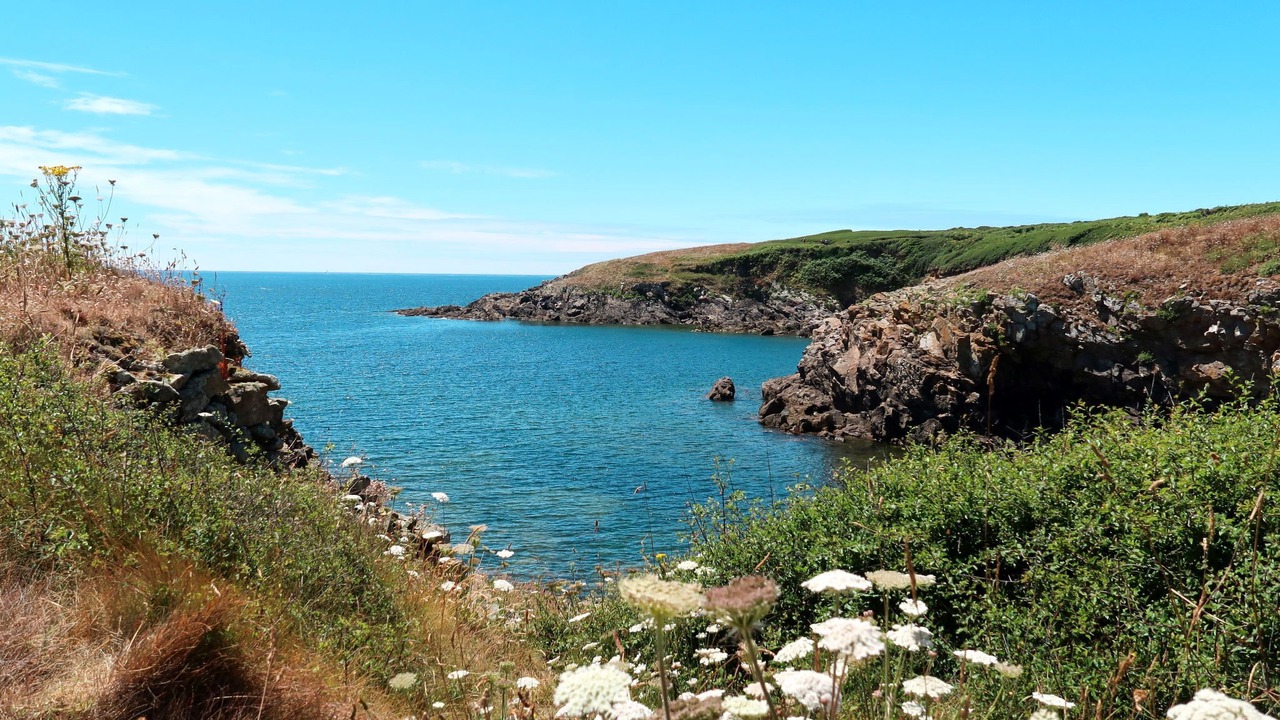 Photo of Others in Primelin