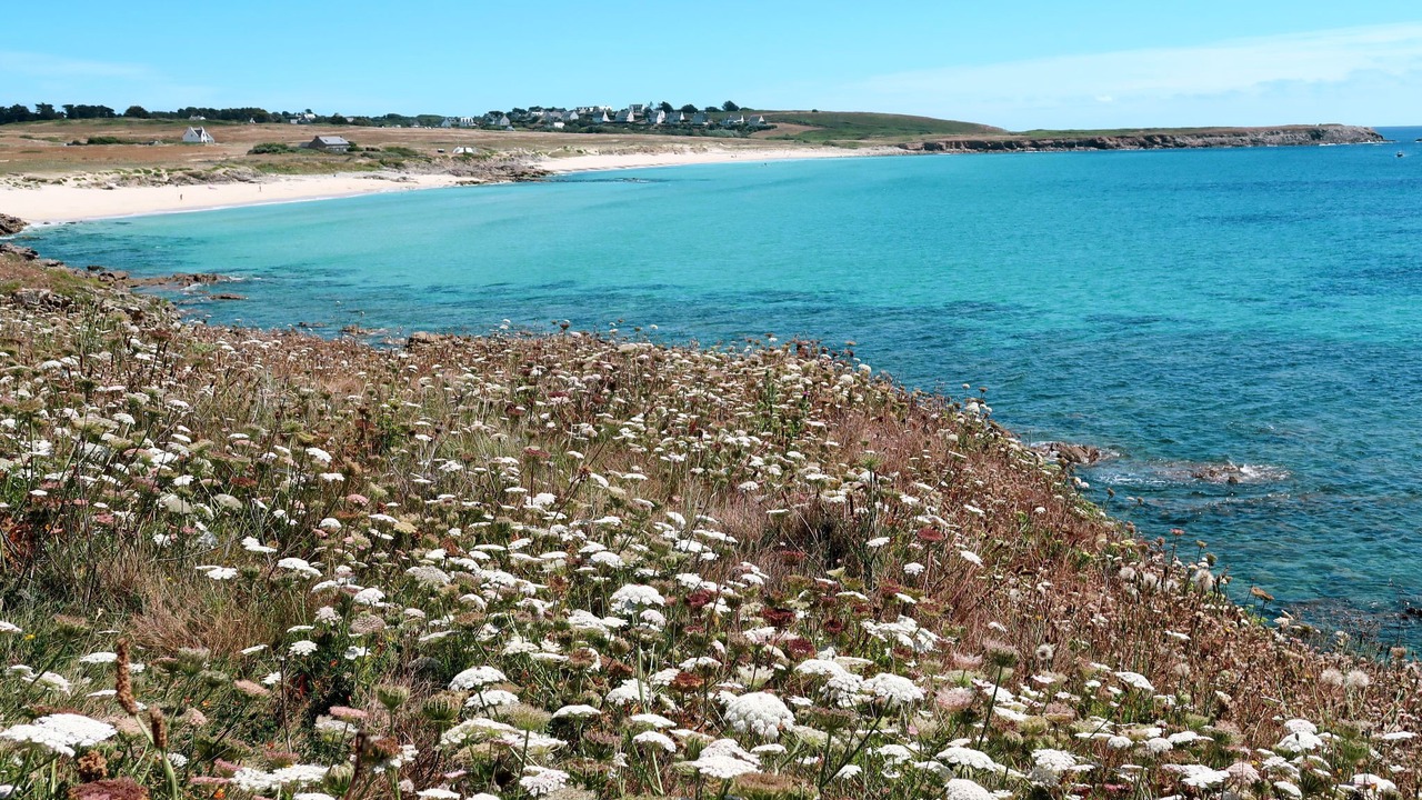 Photo of Others in Primelin