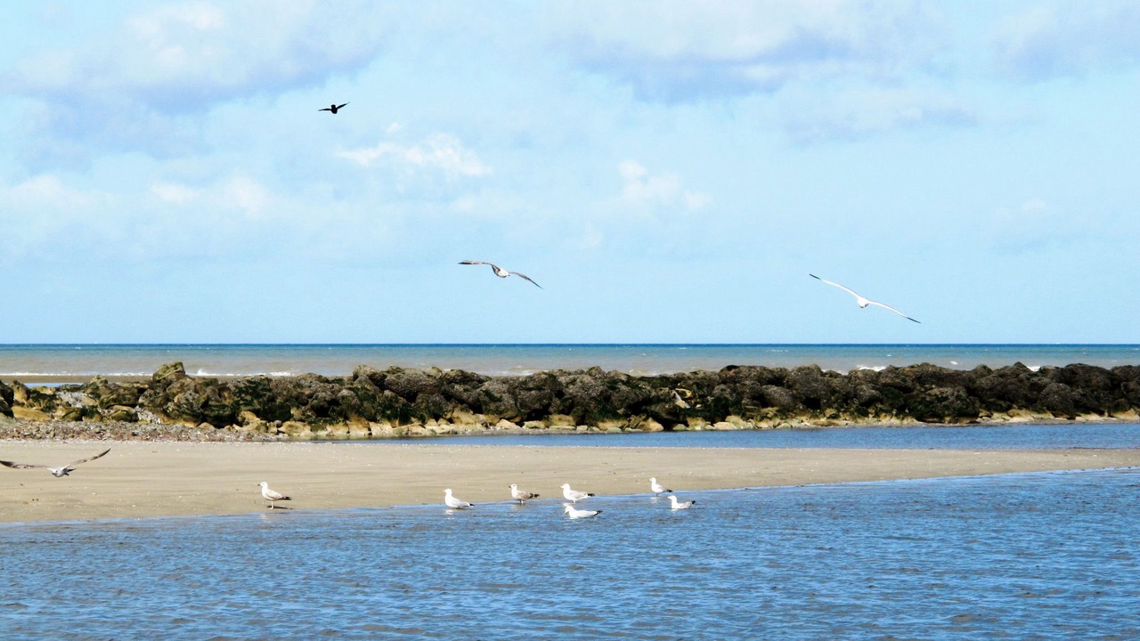Photo of Outdoor in Biniville