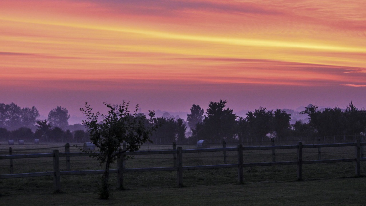 Photo of Others in Corbon