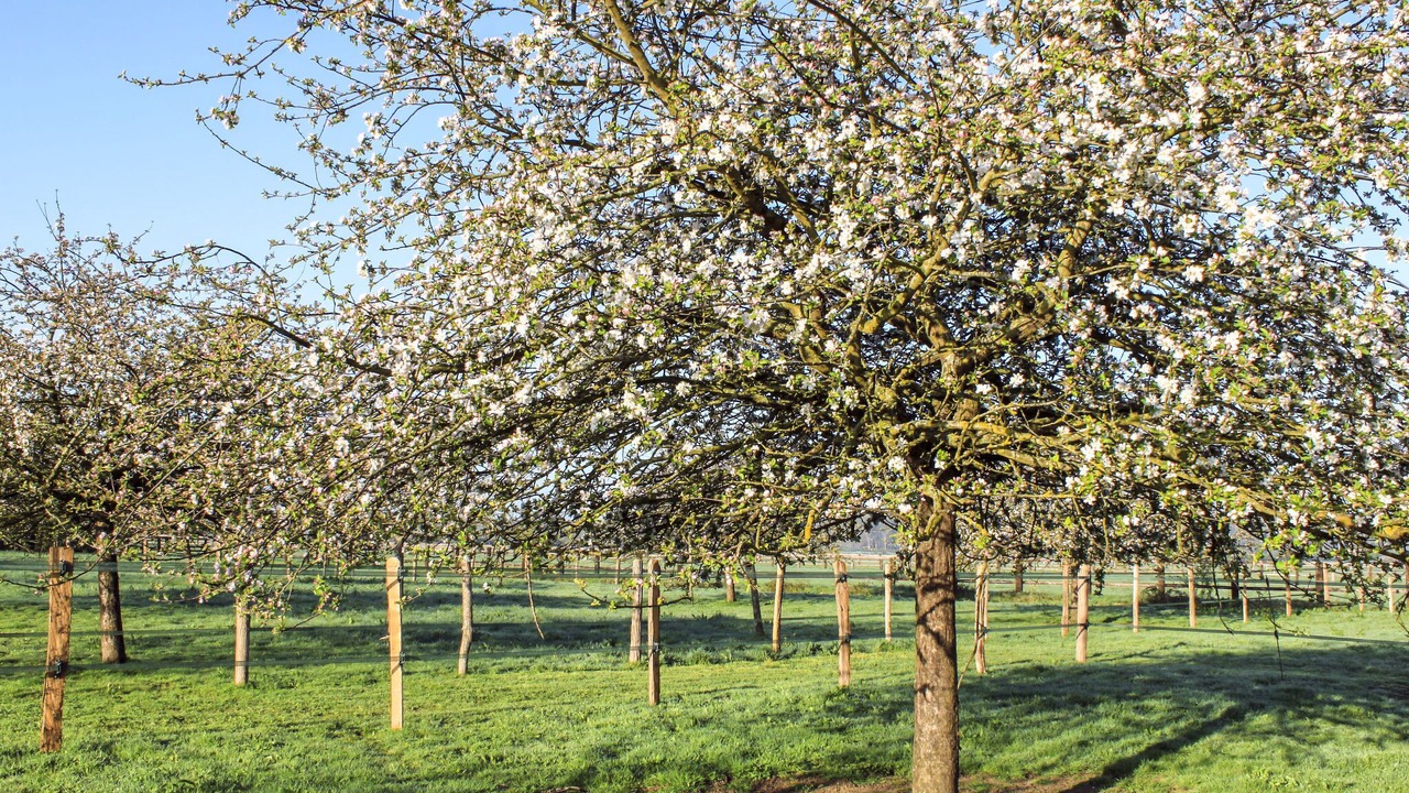 Photo of Others in Corbon