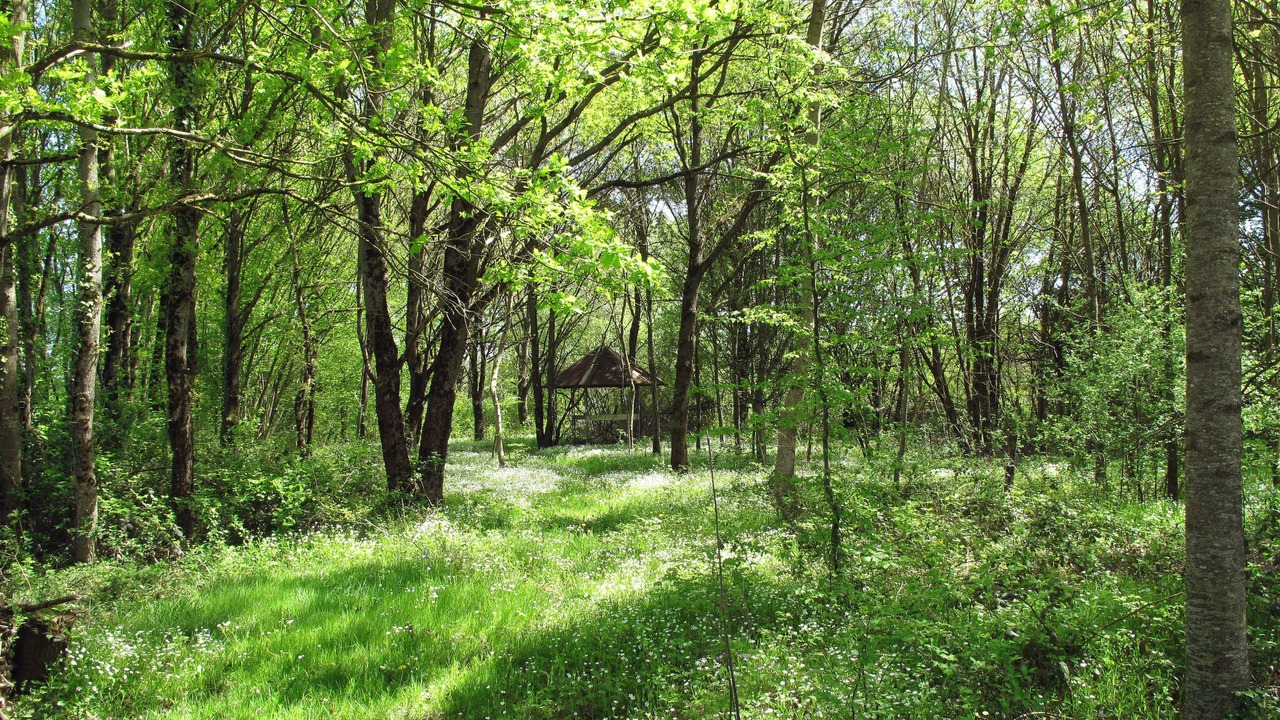 Photo of Outdoor in La Chapelle-Saint-Sauveur