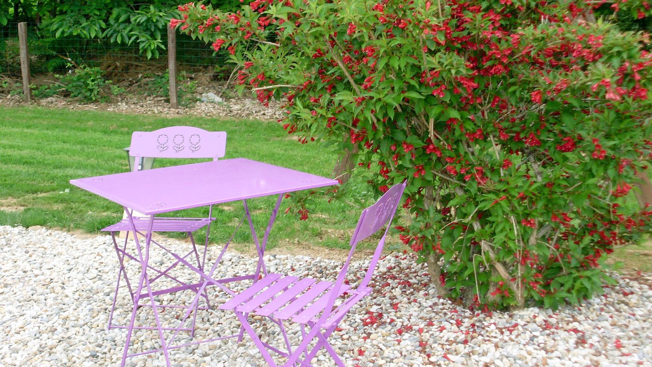 Photo of Others in Blanquefort-sur-Briolance