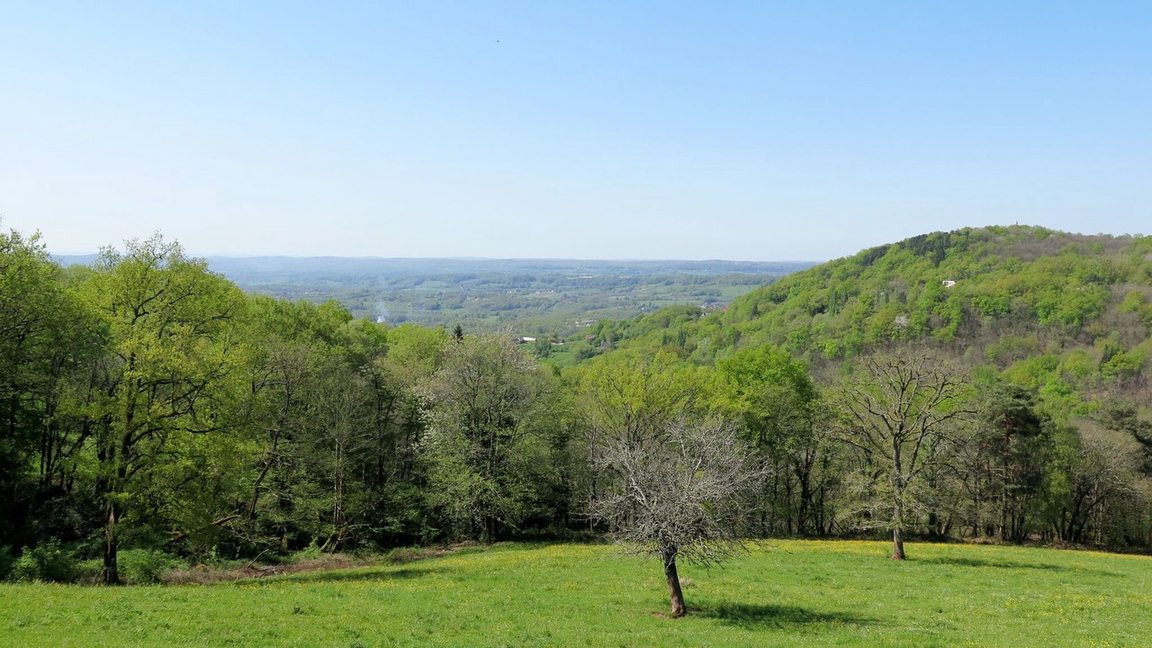 Photo of Others in Meyssac