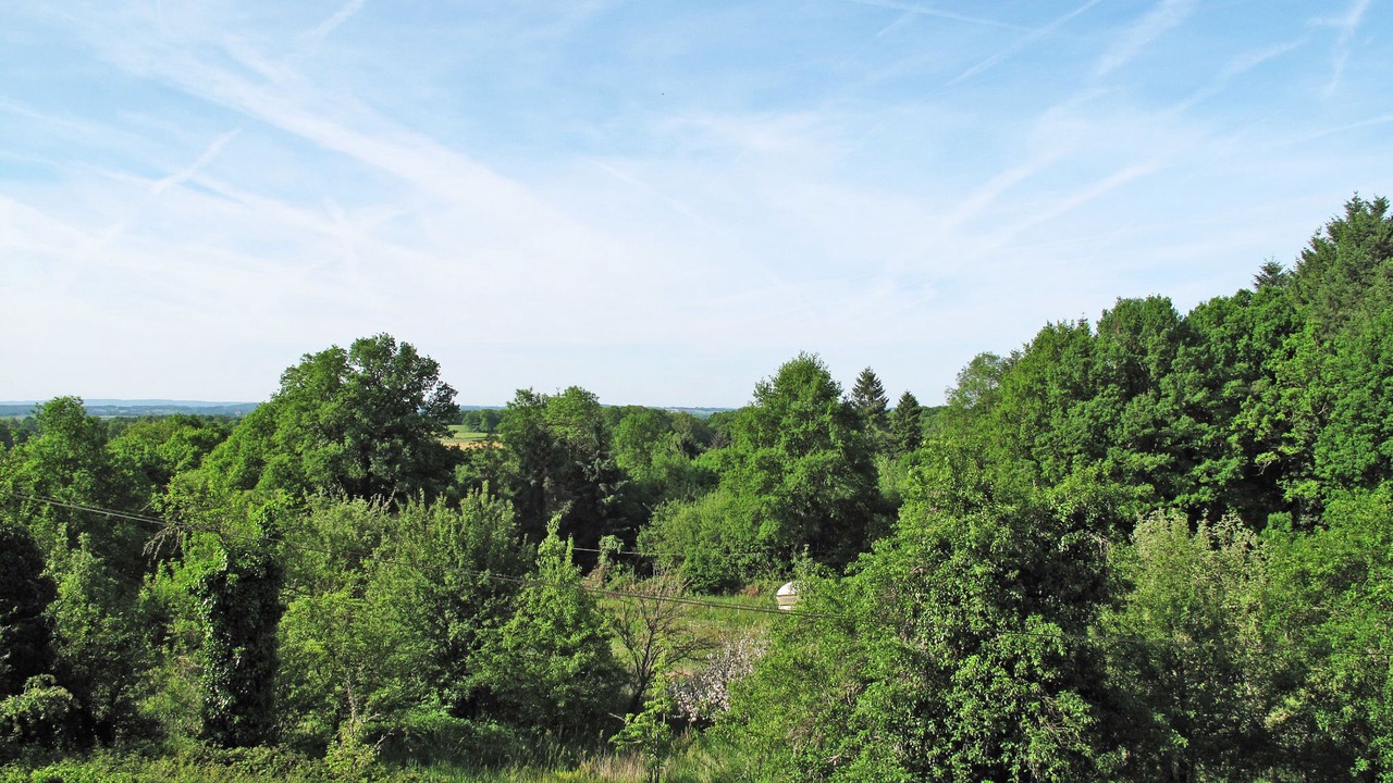 Photo of Others in Saint-Sulpice-les-Feuilles