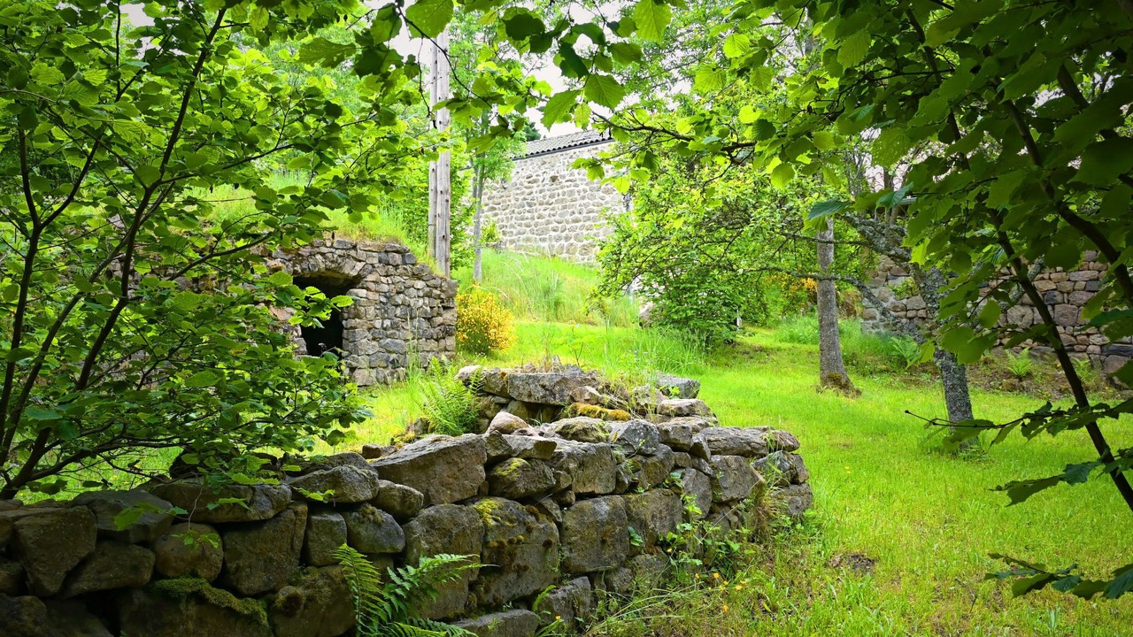 Photo of Outdoor in Vielprat