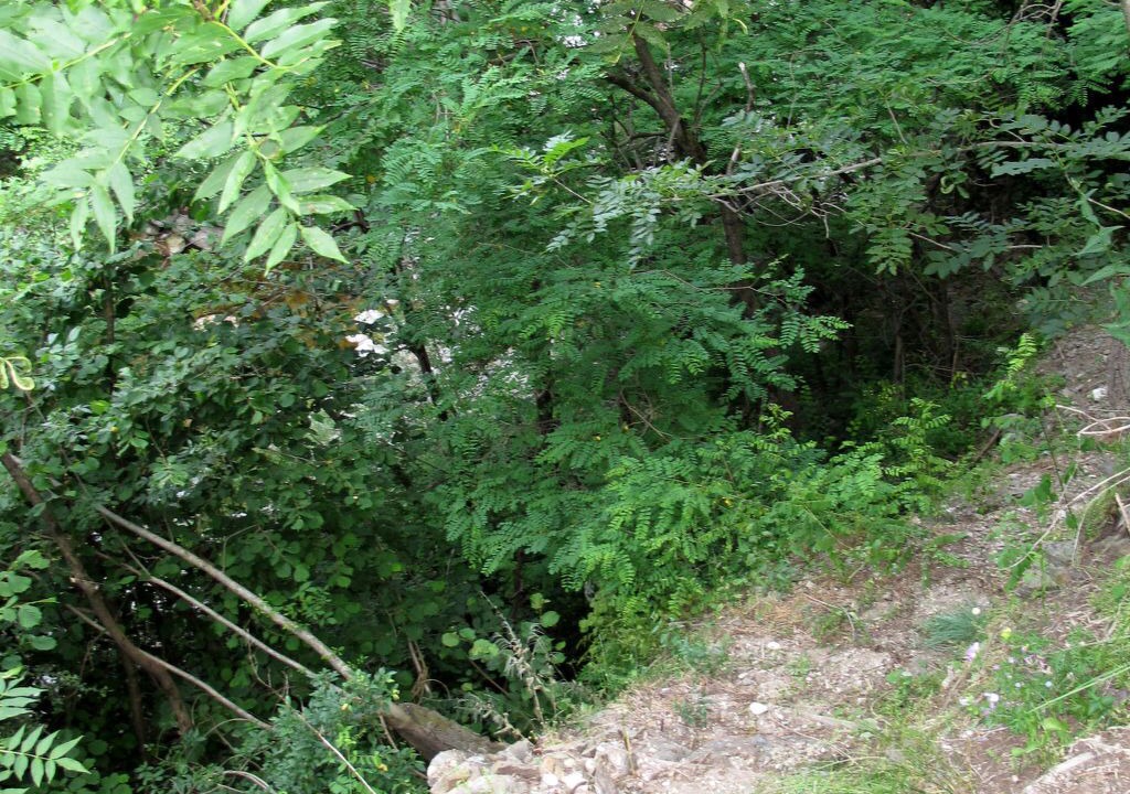 Photo of Others in Valgorge