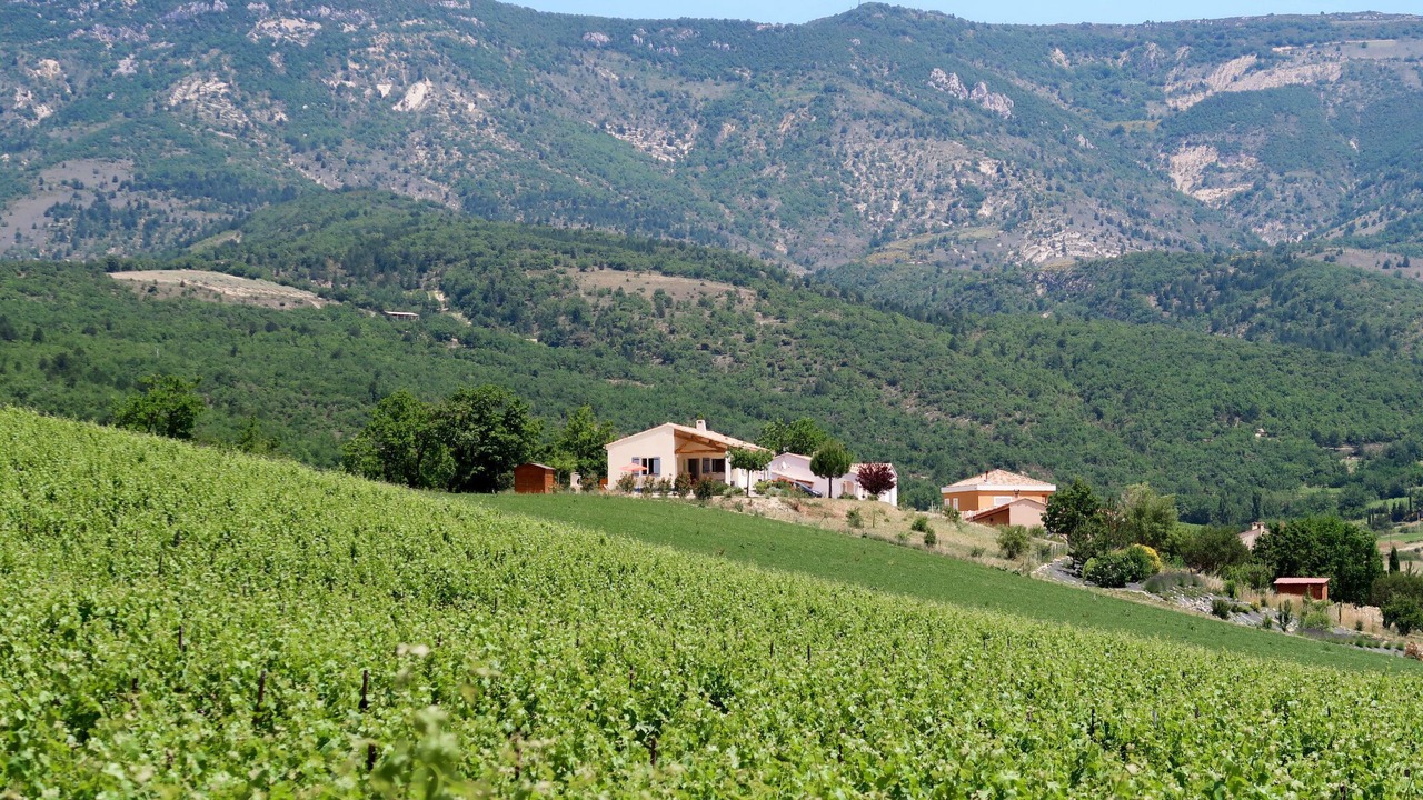 Photo of Others in Sainte-Jalle