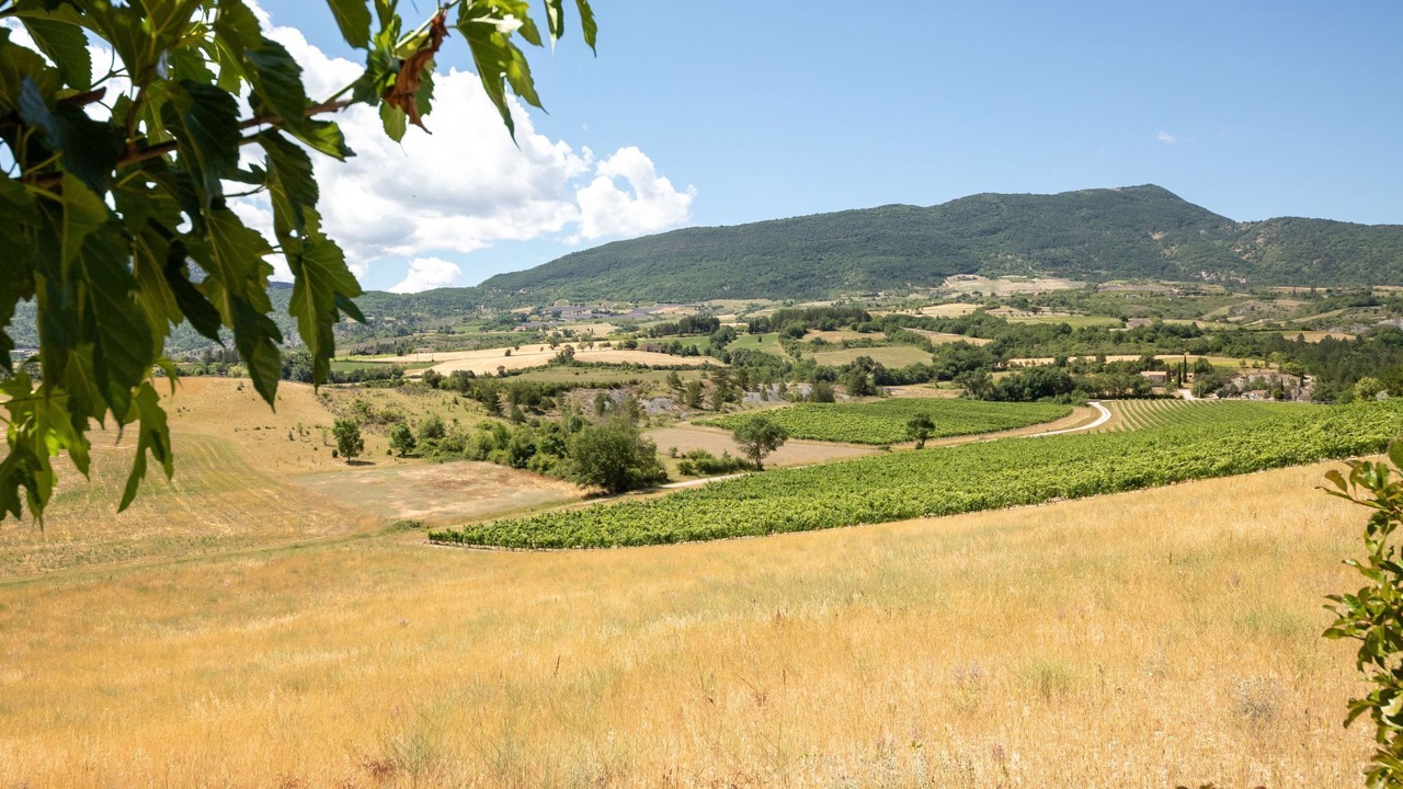 Photo of Others in Sainte-Jalle