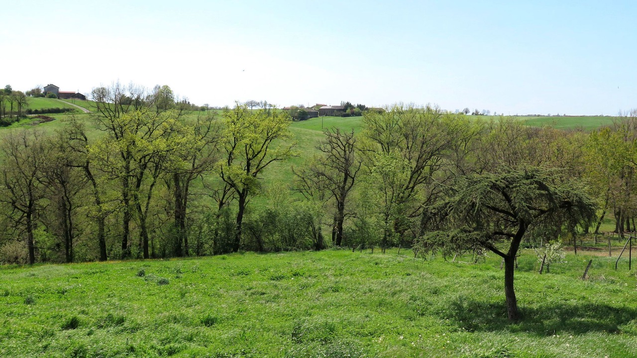 Photo of Others in Lacapelle-Segalar
