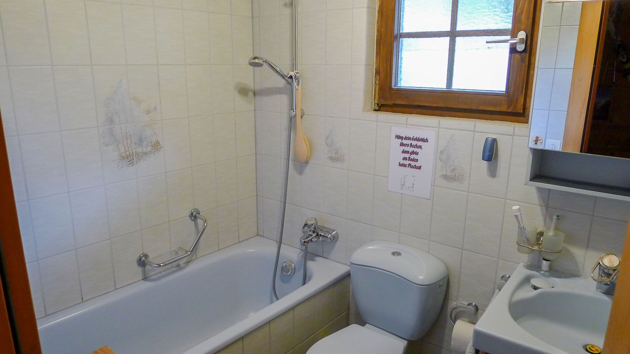 Photo of Bathroom in Grengiols