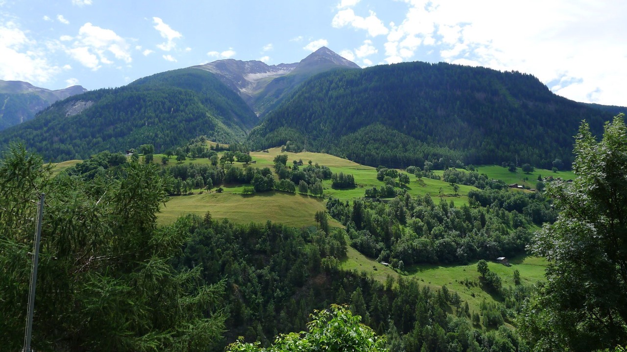 Photo of Others in Grengiols
