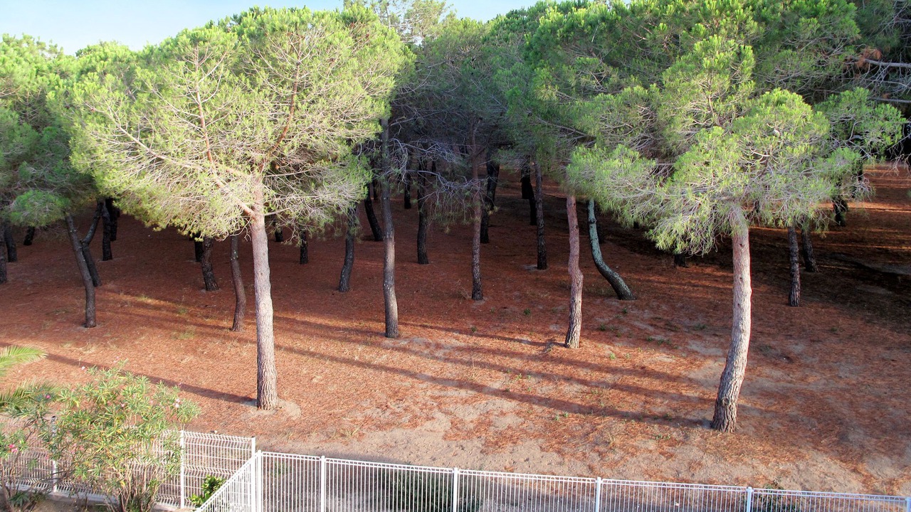 Photo of Outdoor in Argeles Plage