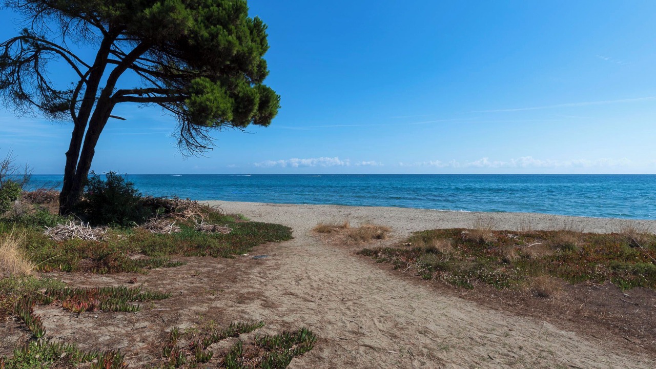 Photo of Others in Cervione