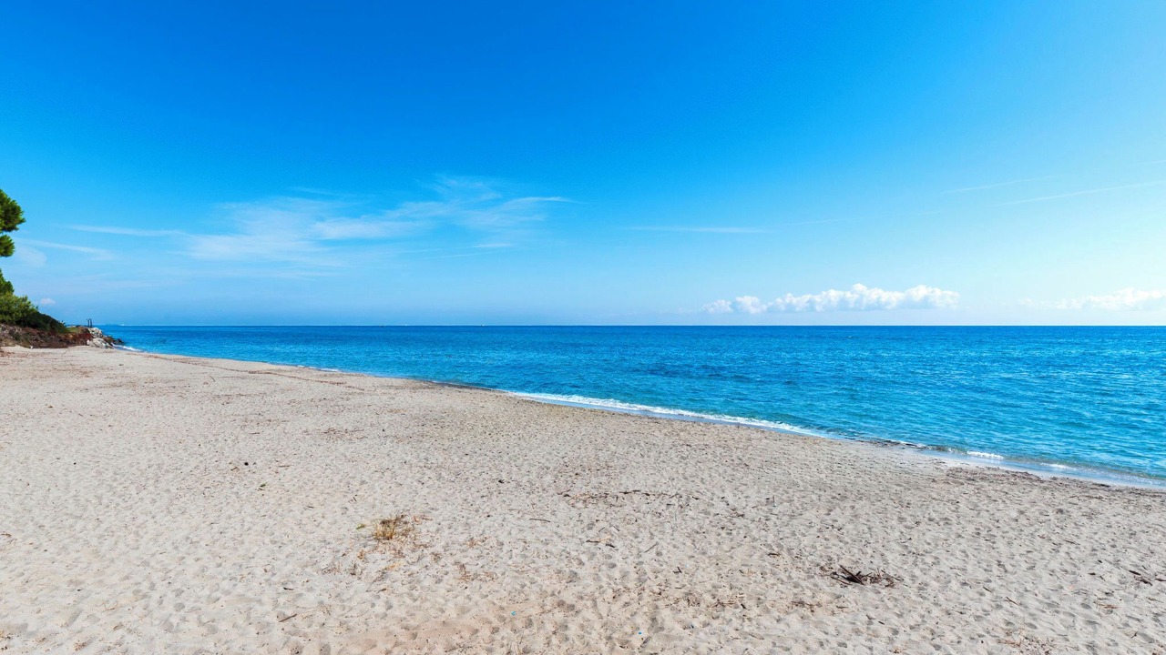 Photo of Others in Cervione