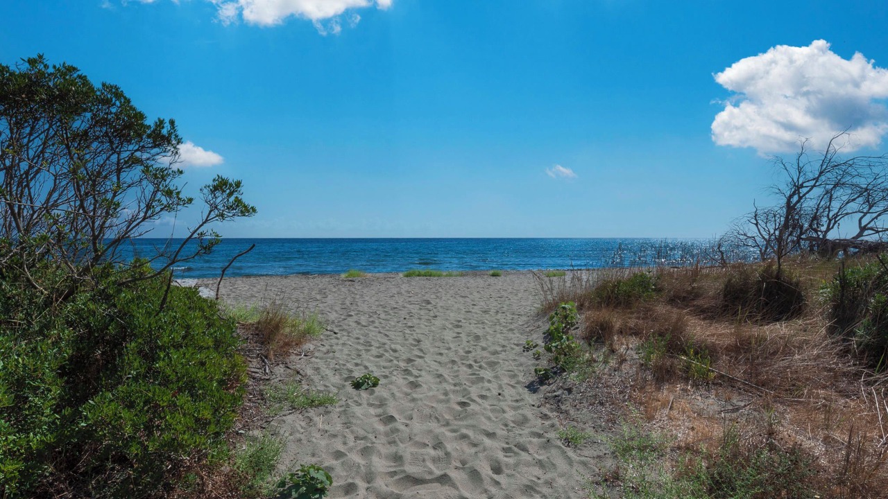 Photo of Others in Cervione