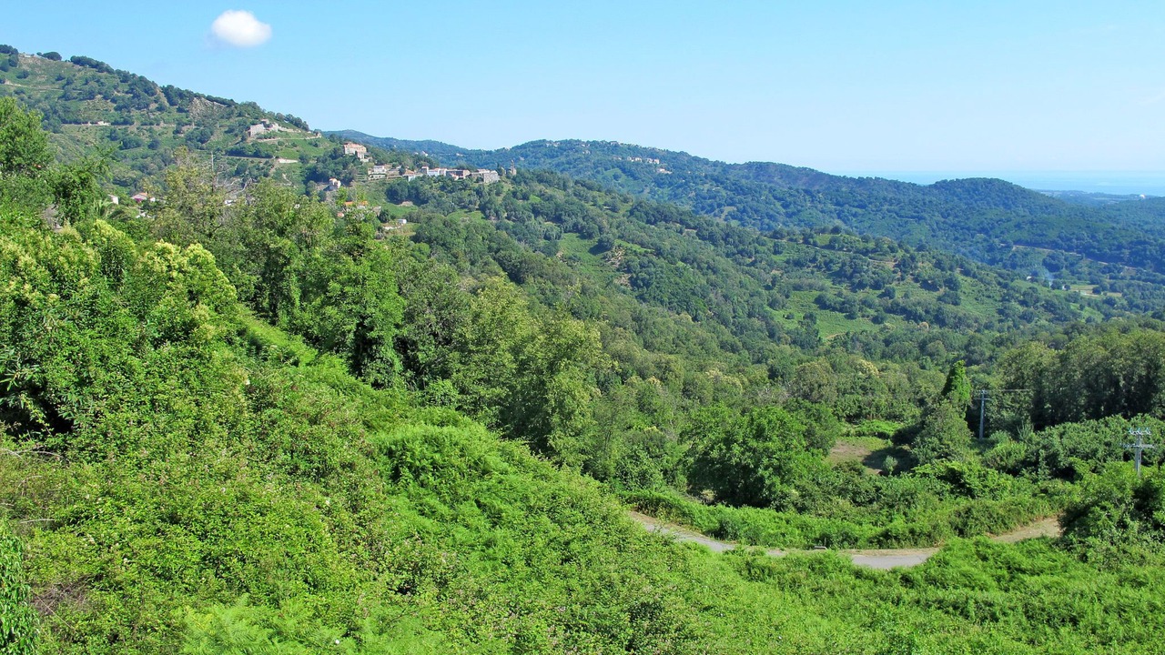 Photo of Outdoor in Cervione