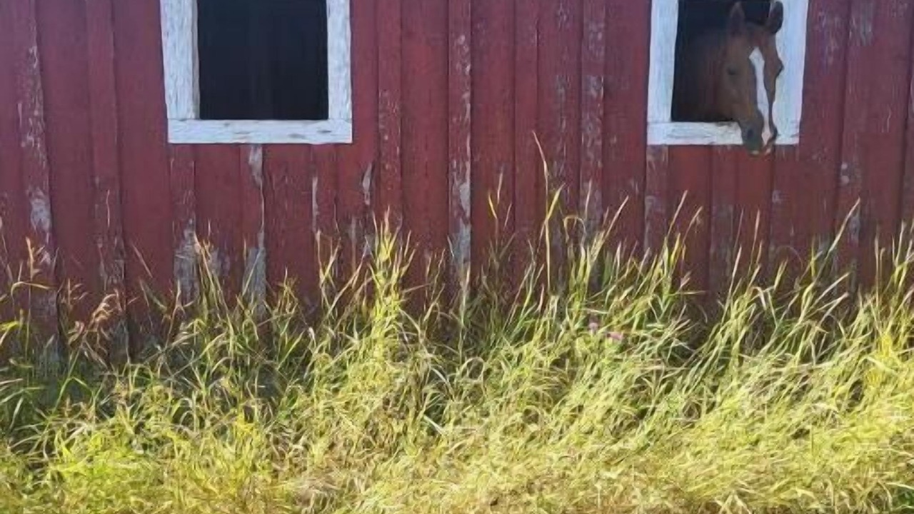 Photo of Outdoor in Eureka