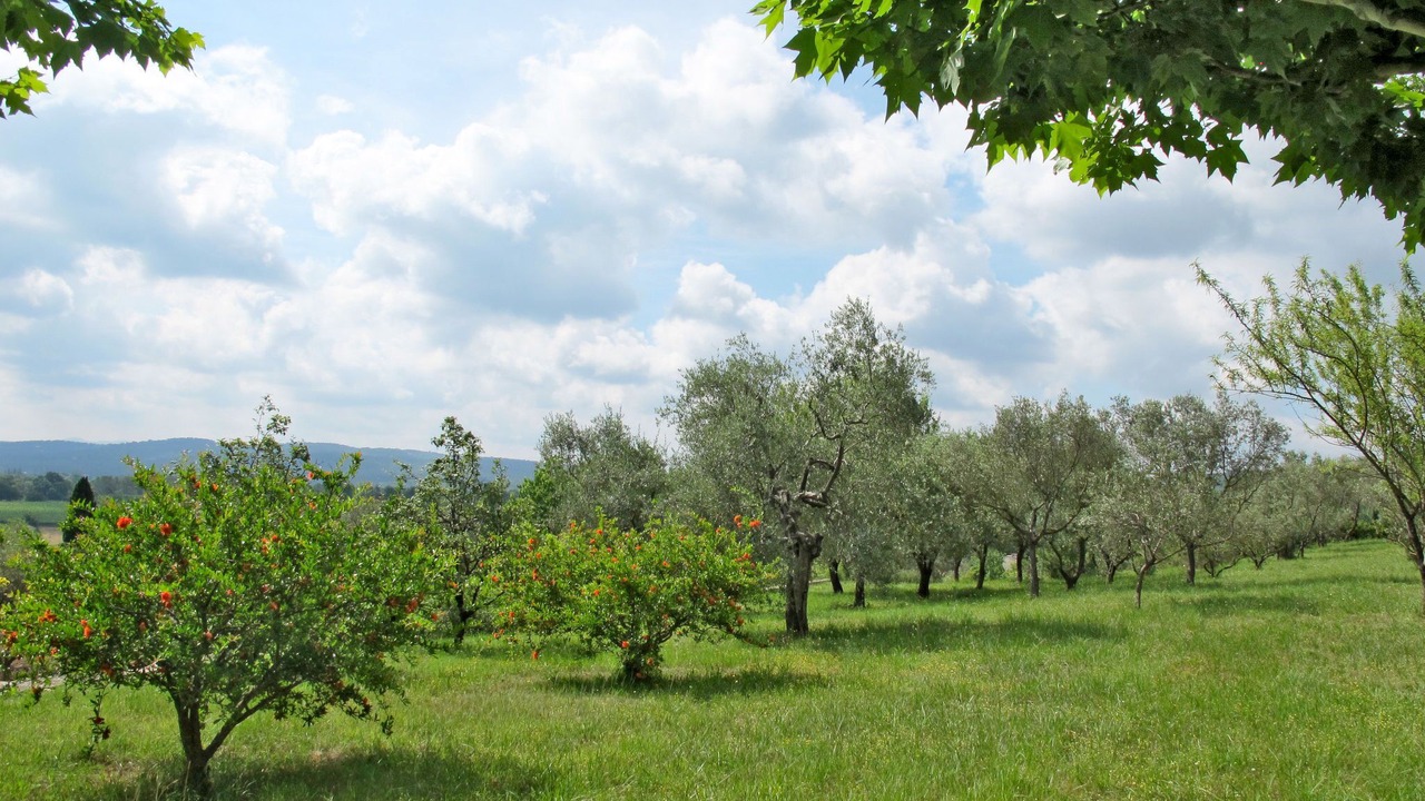 Photo of Others in Fayence