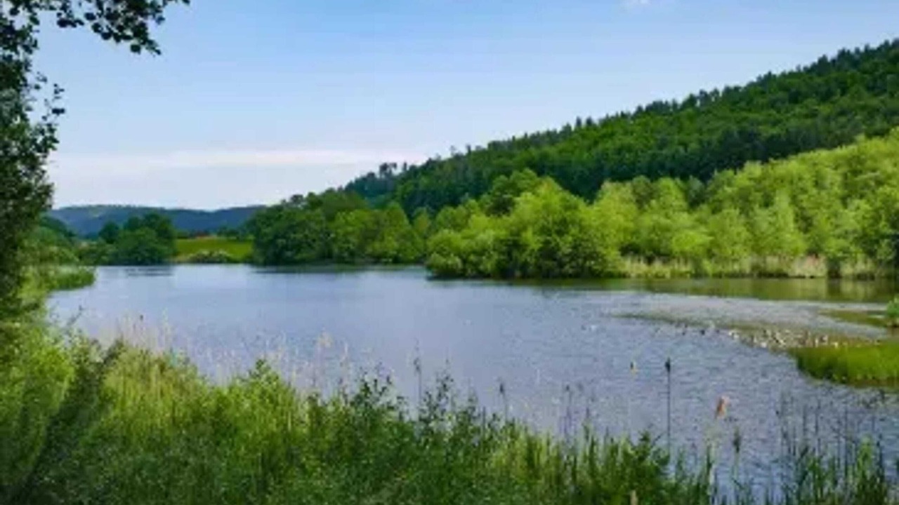 Photo of Others in Bitche