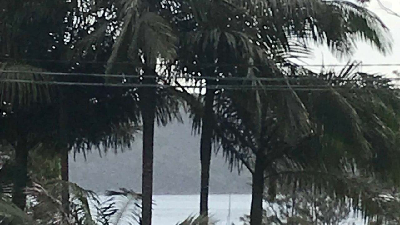 Photo of Others in Palm Beach