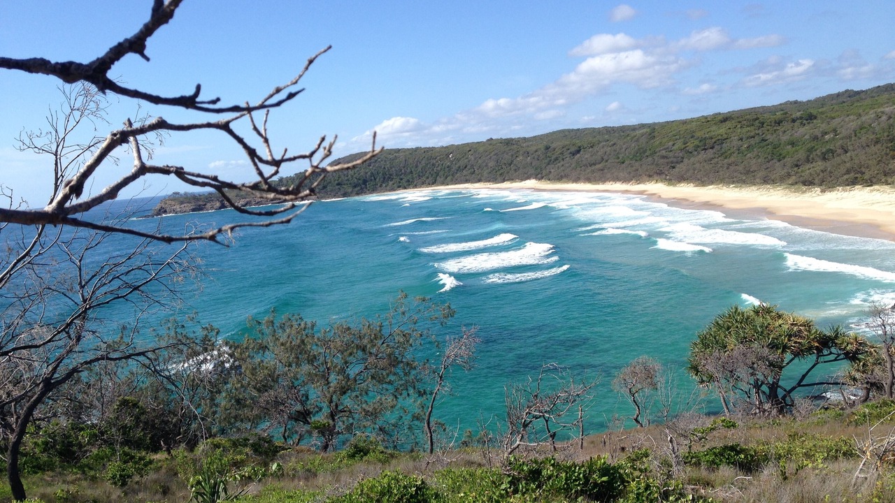 Photo of Others in Palm Beach