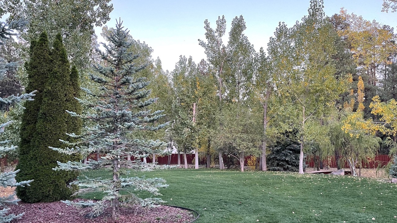 Photo of Outdoor in Pinetop