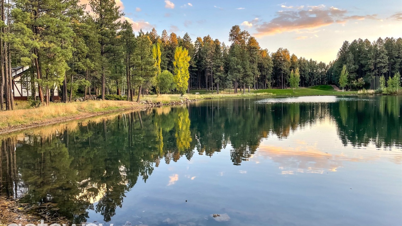 Photo of Others in Pinetop