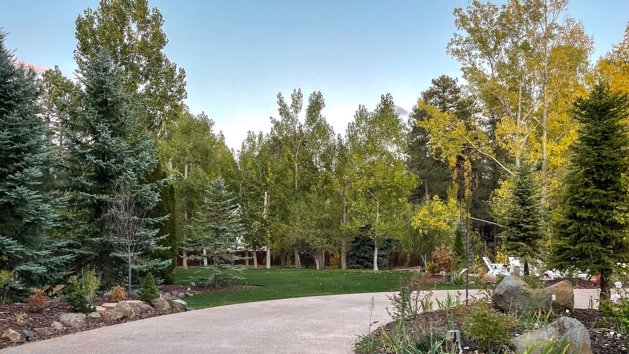 Photo of Outdoor in Pinetop