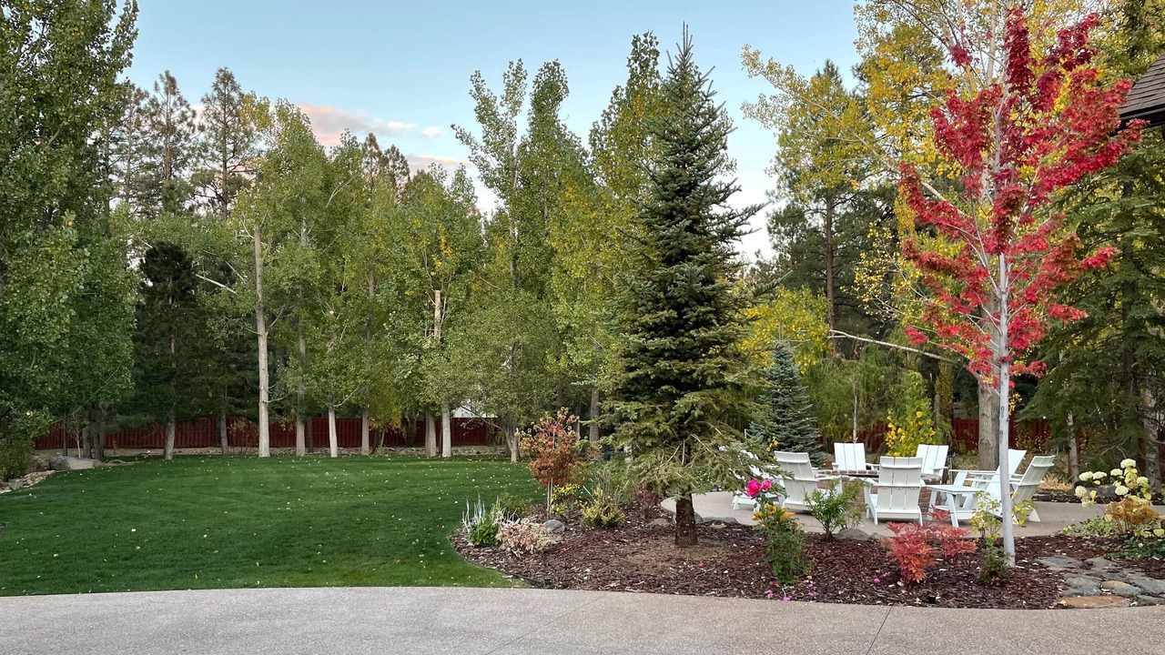 Photo of Patio Balcony in Pinetop