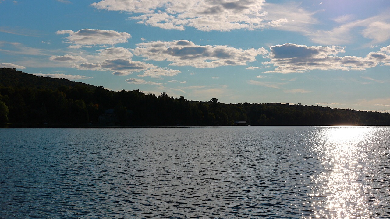 Photo of Others in Inlet
