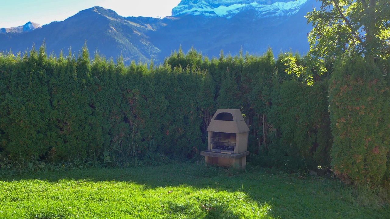 Photo of Others in Champery