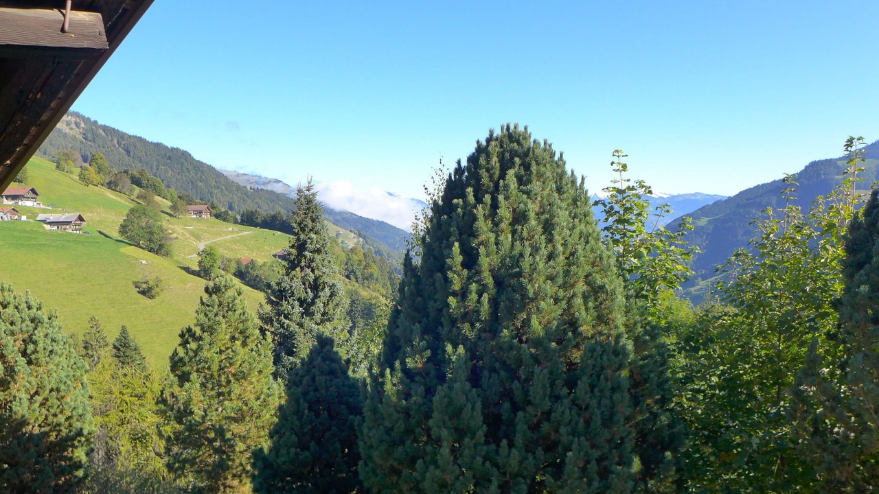 Photo of Others in Champery