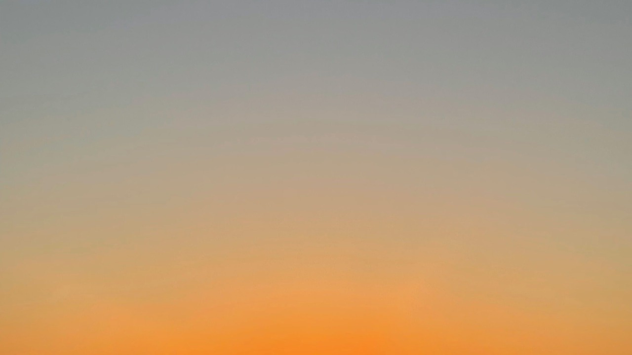 Photo of Others in Pine Park Neighborhood