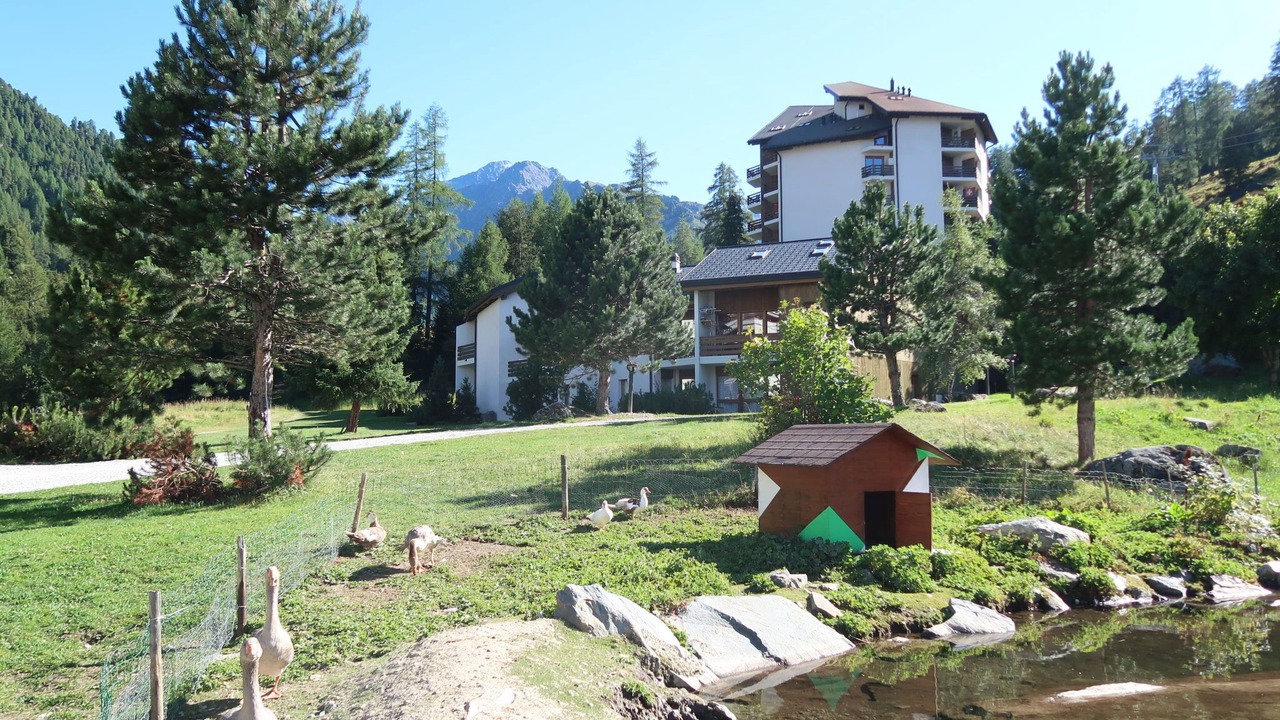 Photo of Outdoor in Noveli