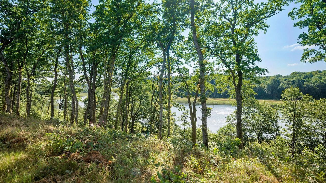 Photo of Others in Krejbjerg