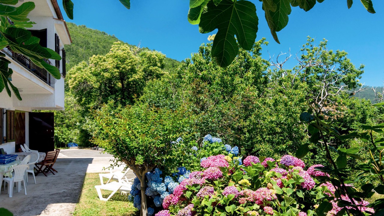 Photo of Others in Opatija