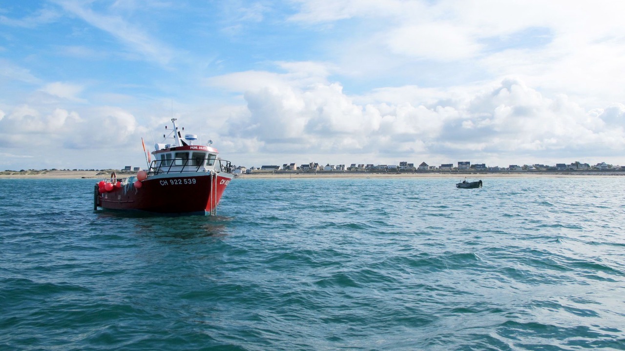 Photo of Others in Creances