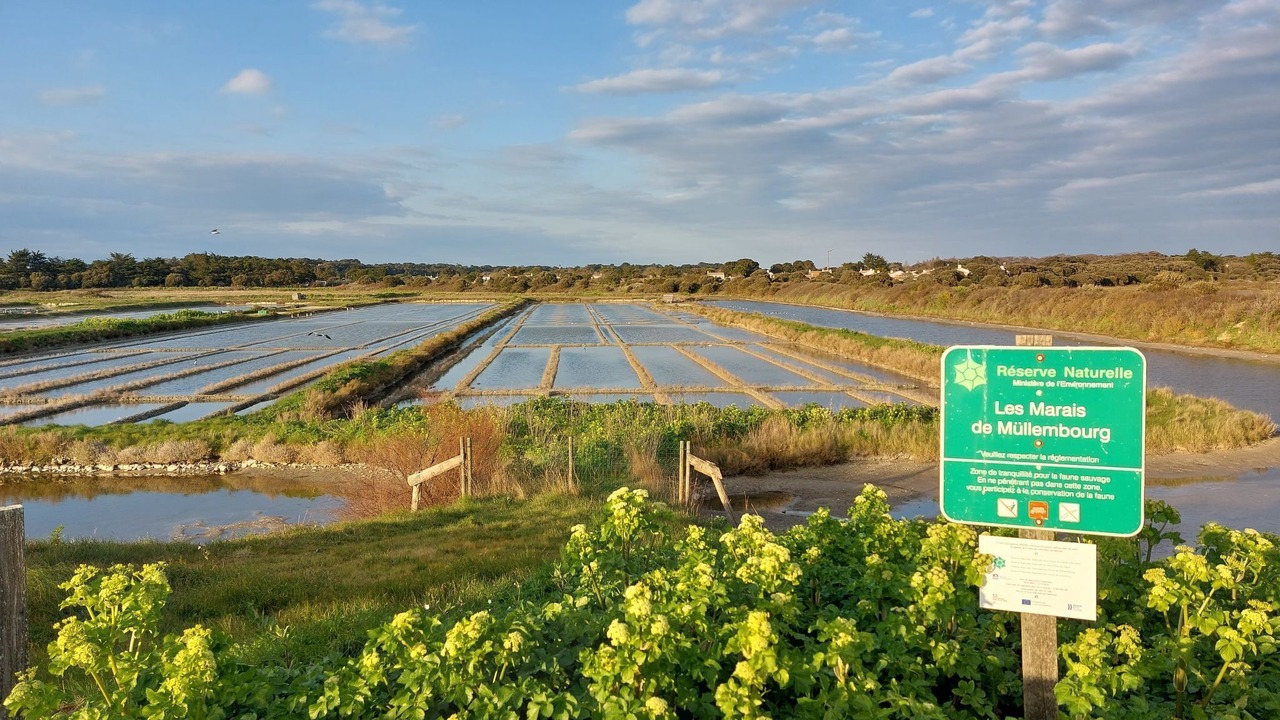 Photo of Others in Noirmoutier-en-l'Ile