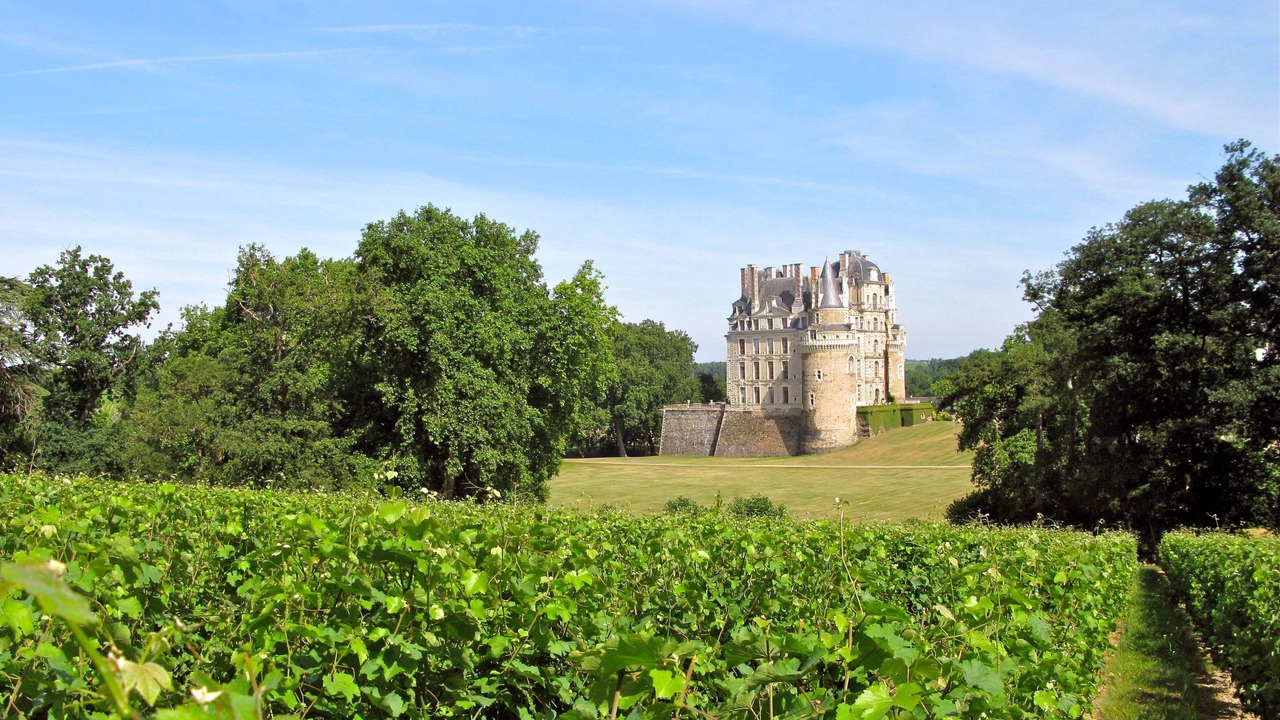 Photo of Outdoor in Chinon