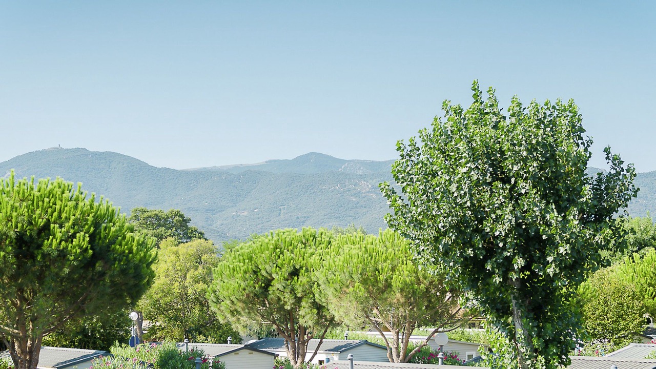 Photo of Others in Plage d'Argeles