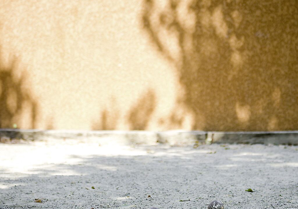 Photo of Outdoor in Plage d'Argeles