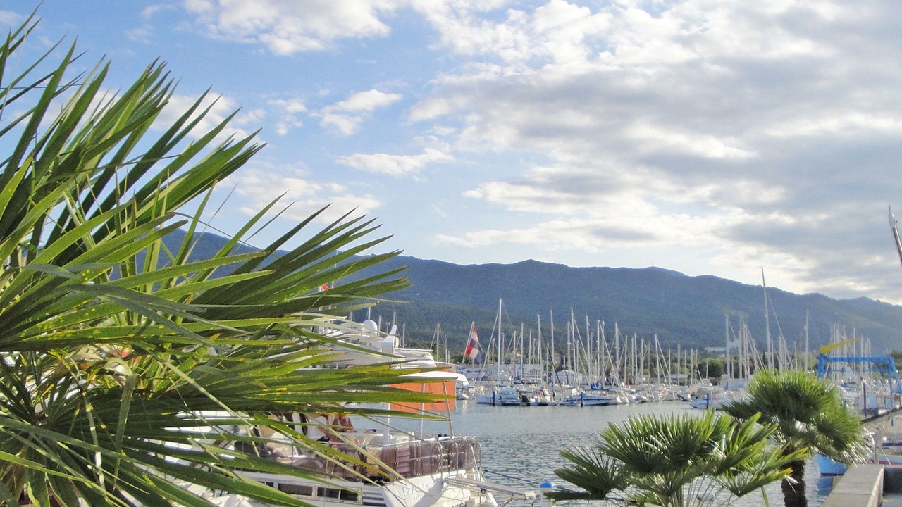 Photo of Others in Plage d'Argeles