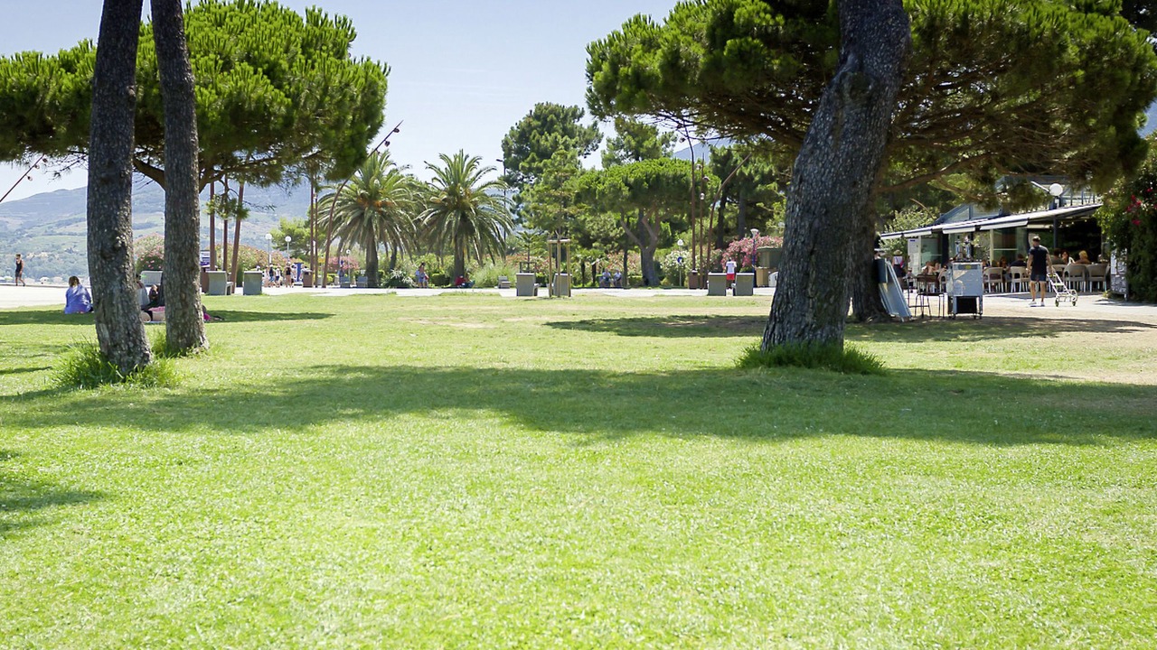 Photo of Outdoor in Plage d'Argeles